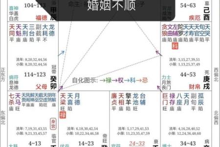 紫薇斗数文昌坐命如何看