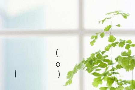 灵签选择