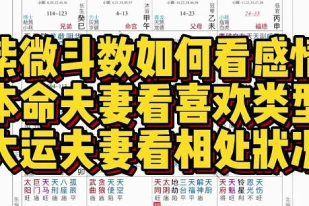 紫薇斗数嫁得好