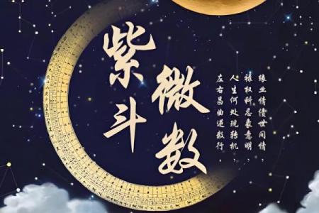 知否科技紫薇斗数