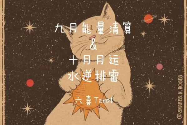 塔罗测试：九月学习运？