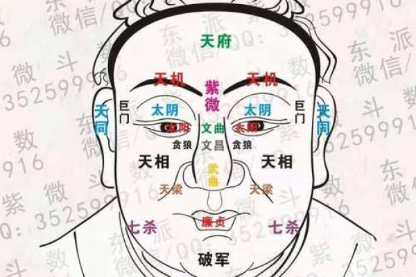 紫微斗数诸星落诸宫之:天相星兄弟宫详解 紫微斗数诸星落诸宫之:天相星兄弟宫详解