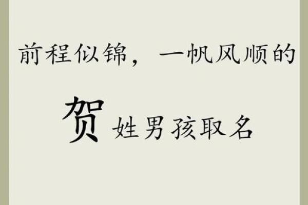 晚上12点出生的属虎男孩起什么名，宜用什么字姓名