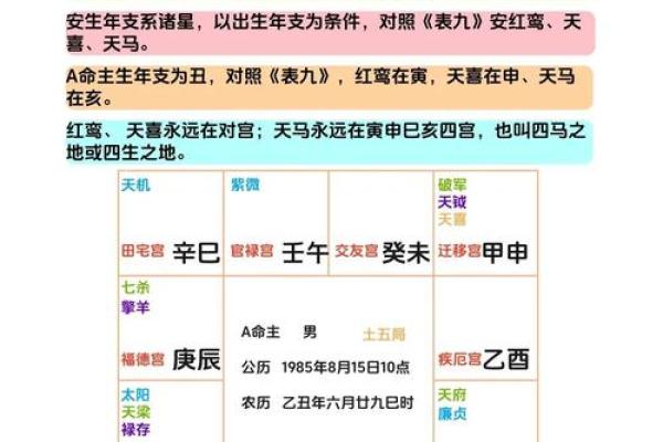 紫微斗数算什么流派 紫微斗数有多厉害？