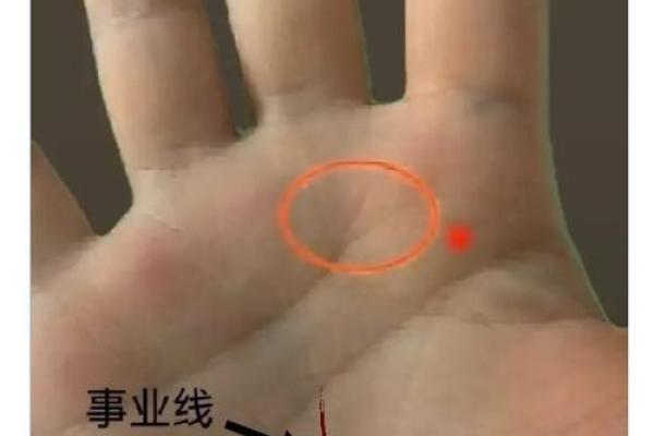 女人的事业线止于感情线命运如何风水