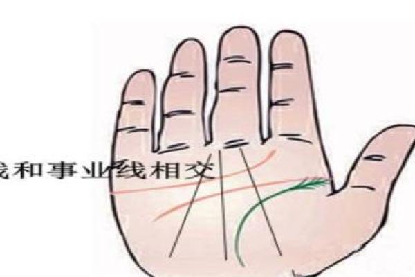 女人的事业线止于感情线命运如何风水