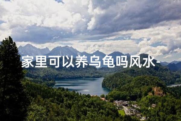 养龟风水_为什么卧室里面不能养乌龟