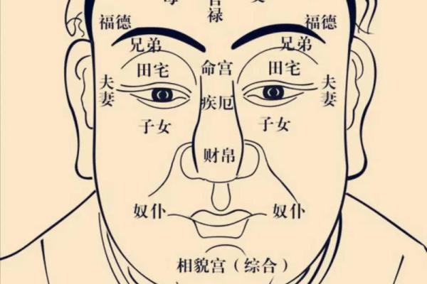 紫薇斗数基本运