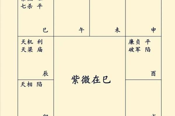 紫薇斗数忌星入十二宫
