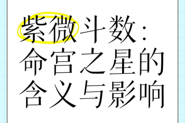 2紫薇斗数命宫