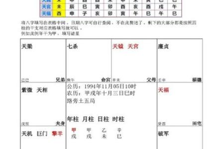 紫薇斗数掌决
