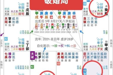 紫薇斗数怎么看嫁入豪门