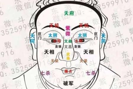 紫微斗数诸星落诸宫之：天相星兄弟宫详解
