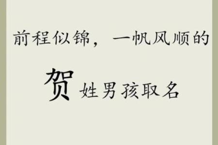 晚上12点出生的属虎男孩起什么名，宜用什么字姓名