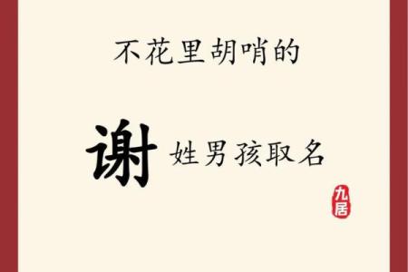 2019年3月19号酉时出生的男孩起名时要注意什么姓名