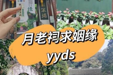 月老灵签利有攸往解姻缘