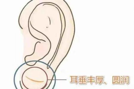 风水面相耳朵耳垂大是不是很有福气