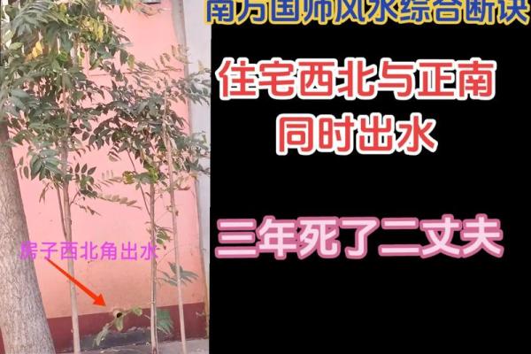 开公司如何选址好风水 注重这几点就能财运滚滚来