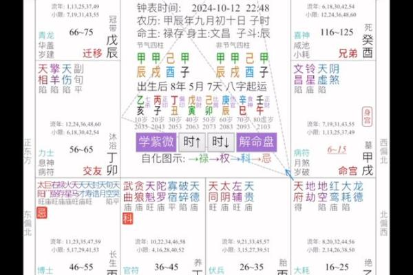 紫薇斗数龙眠