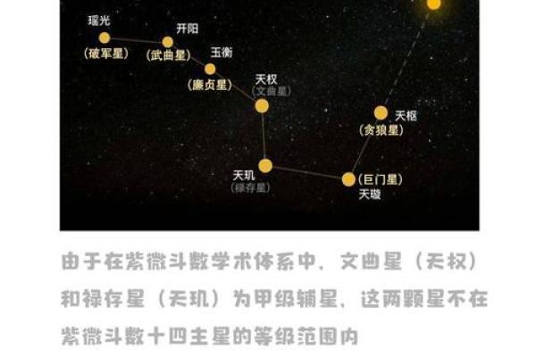 紫薇斗数天月星