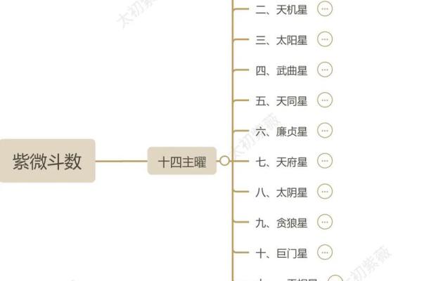 紫薇斗数要学多久