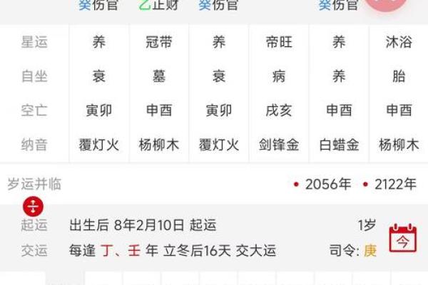 八字华盖查询免费在线，快速准确的八字命盘解析