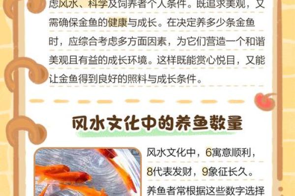 金鱼怎么养？养金鱼需要注意的风水