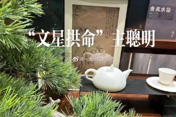 紫薇斗数文昌科