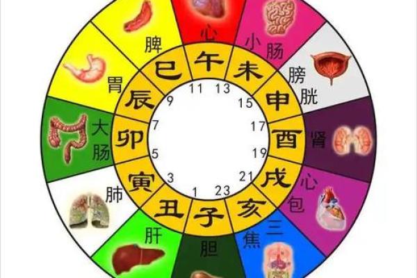 卯时和辰时八字合不合,辰时和卯时相冲吗