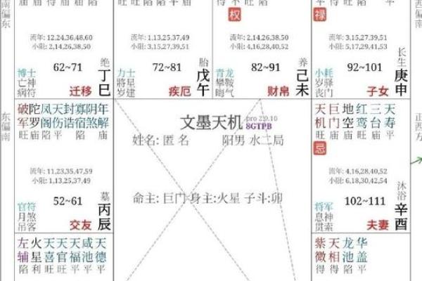 紫薇斗数命身宫