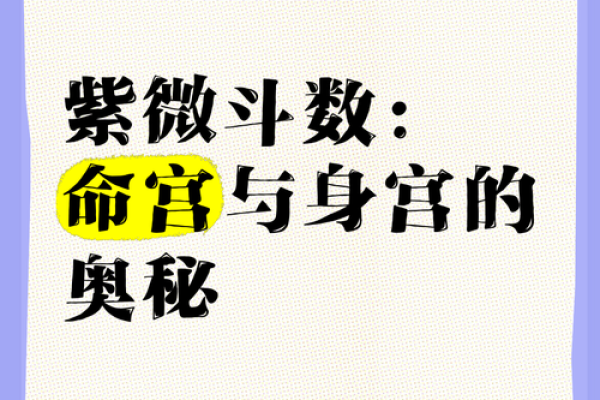 紫薇斗数命身宫