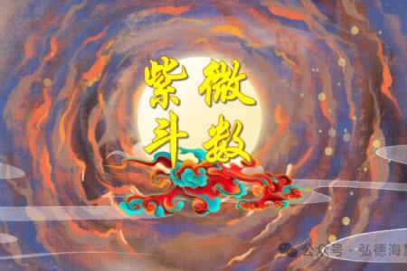 莫西老师紫薇斗数