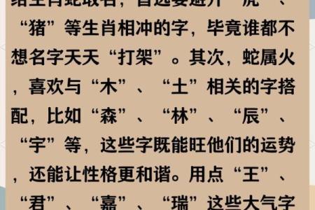 12月份出生的属蛇男孩起什么名字好姓名