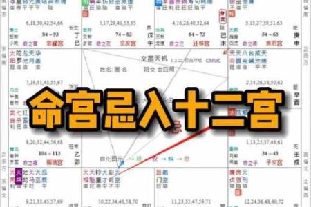 紫薇斗数流出忌