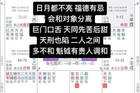 紫薇斗数文昌科
