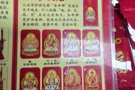 圣地圣母灵签解签大全
