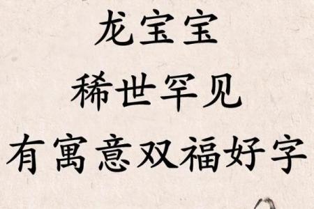 属龙酉时出生的男孩要什么名字好，适合什么字姓名