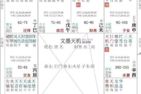 紫薇斗数命身宫
