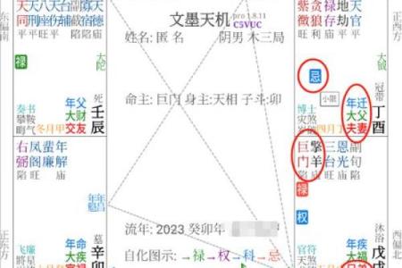 紫微斗数之迁移宫与诸星，巨门星在迁移宫是什么意思？