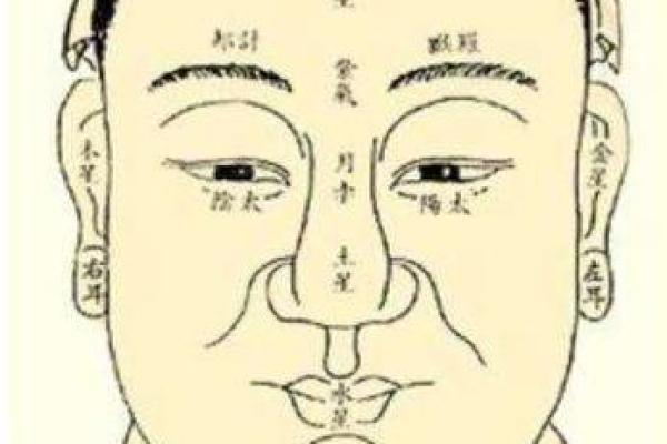 牙齿算命 有鬼牙不吉利吗