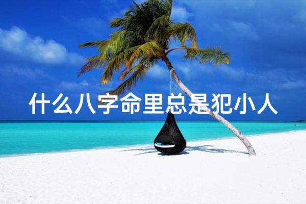 一个爱犯小人的八字