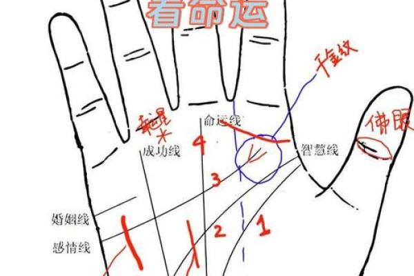 手相算命的基本原则 手相算命的基本原则