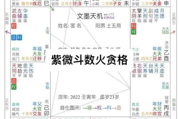 紫薇斗数免费测试流年婚姻