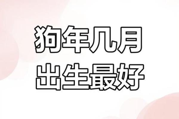 属狗卯时出生的男孩应该如何起名，宜用什么字姓名