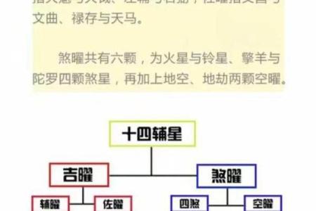 跟着AI学紫薇斗数，十二宫介绍