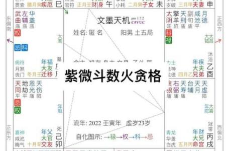 紫薇斗数免费测试流年婚姻