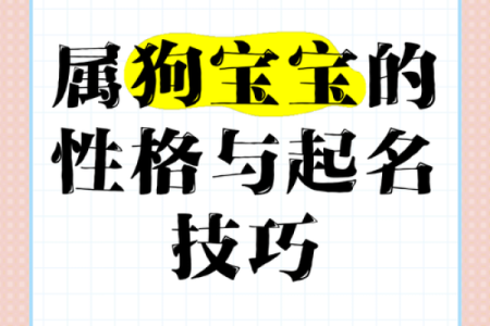 属狗卯时出生的男孩应该如何起名，宜用什么字姓名