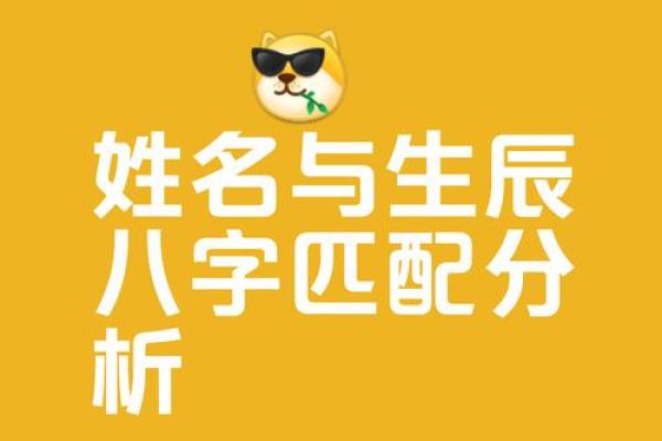 测试打分的名字