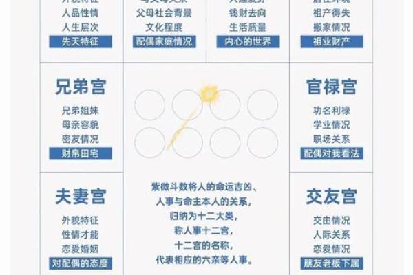 紫微斗数，解析紫薇南斗星