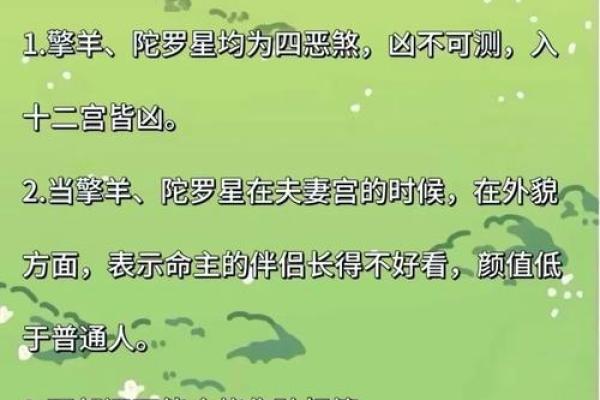 奏书紫微斗数,奏书在命宫的解释